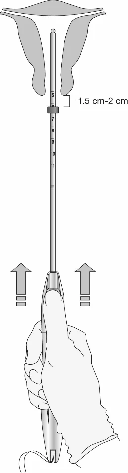 Kép 207