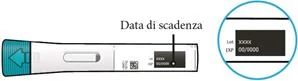 Bild 113