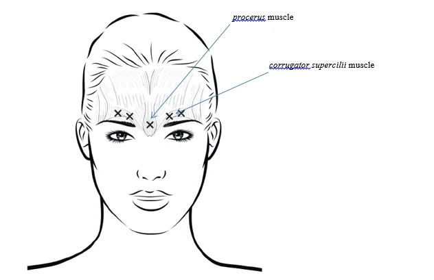 Diagram

Description automatically generated