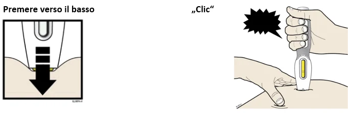 Bild 19