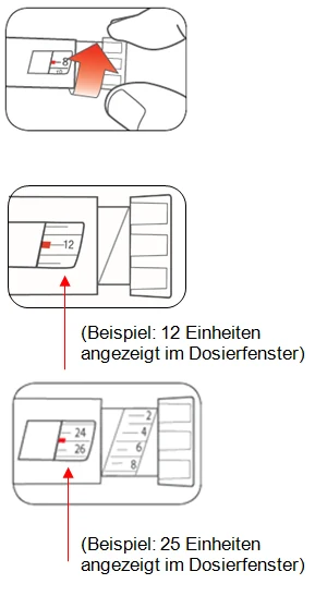 Bild 21