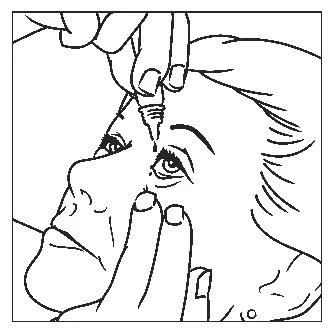 PIL ILLUSTRATION FINAL_HEAVY_M01