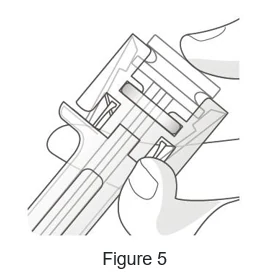 Picture 1