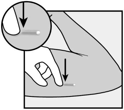 Canvas 86