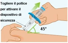 Bild 21