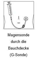 Bild 31