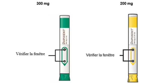 Bild 21