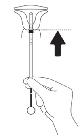 Grafik 10