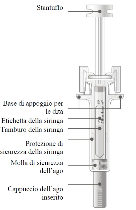 Picture 1