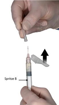 Ein Bild, das Person, haltend, Hand enthält.

Automatisch generierte Beschreibung
