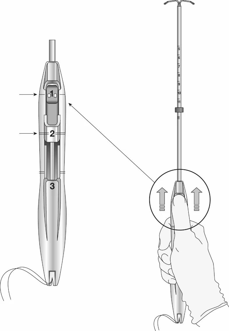 Kép 195