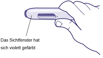 Bild 15