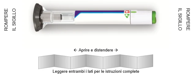 Bild 21