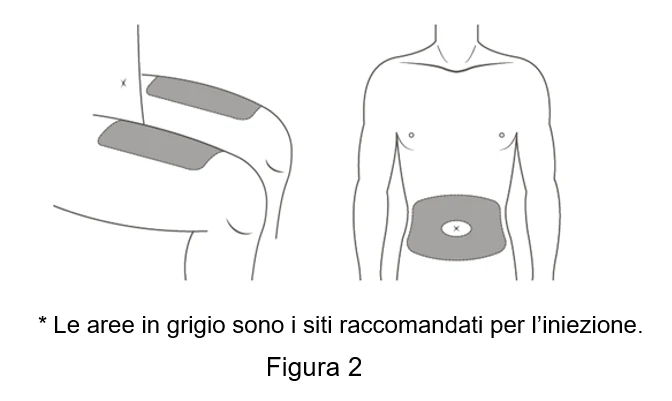 Picture 1