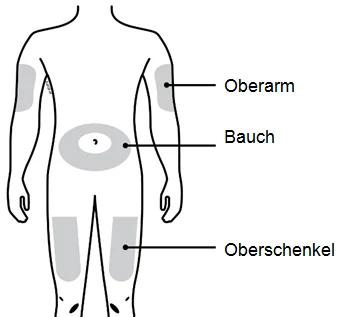 Bild 31