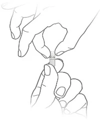 image10.jpeg