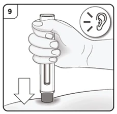 Bild 23