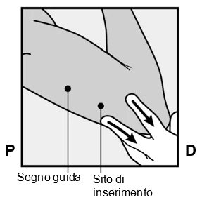 Diagram

Description automatically generated