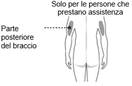 Bild 19