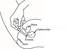 Bild 15