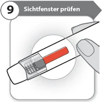 Bild 15
