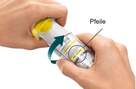 Bild 19
