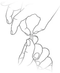 image10.jpeg