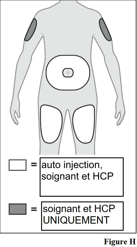 A diagram of a person's body

Description automatically generated