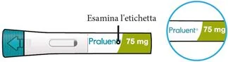 Bild 55
