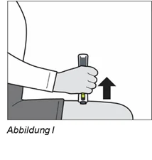 Bild 21