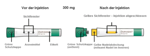 Bild 81