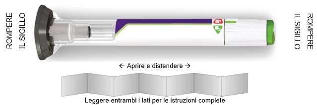 Bild 61