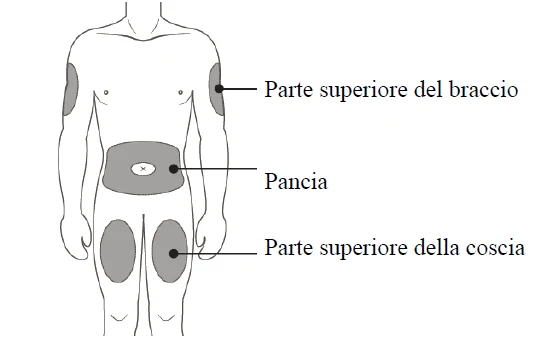 Picture 1