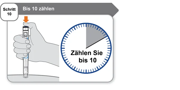 Bild 31
