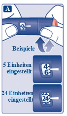 Bild 31