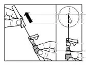 Bild 21