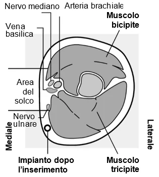 Diagram

Description automatically generated