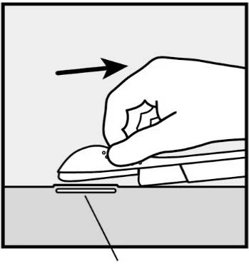 Canvas 317