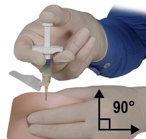 A close-up of a person's hand

Description automatically generated