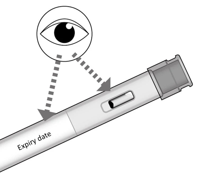 Grafik 31