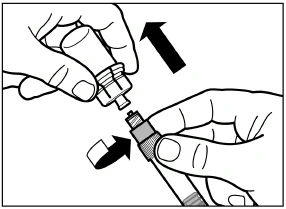 Picture 24