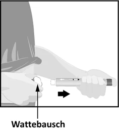 Bild 15
