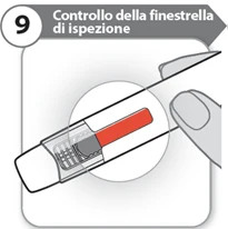 Bild 15