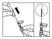 Bild 21