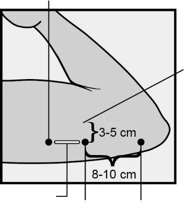 Canvas 30