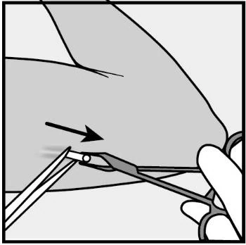 Canvas 327