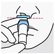 Bild 31