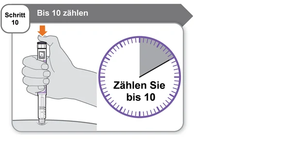 Bild 31