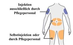 Bild 123