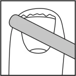 R:\Regulatory Affairs\Präparate\Fung-X Nail\Texte\Patienteninformation\Fung-X_Nail_Illustrationen_01.jpg